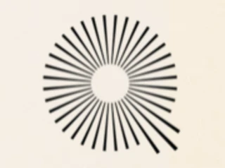 The Qi