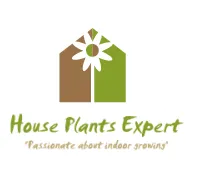 House Plants