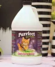 Purrfect Potion