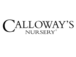 Calloways