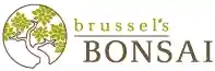 Brussel's Bonsai