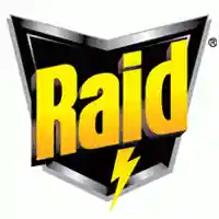 Raid