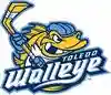 Toledo Walleye